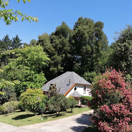 Hogsback Arminel Hotel Ngoại thất bức ảnh