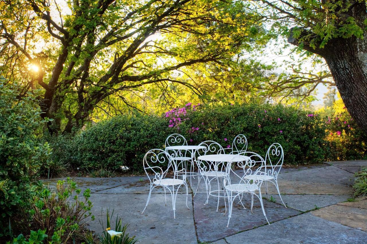 Hogsback Arminel Hotel Ngoại thất bức ảnh