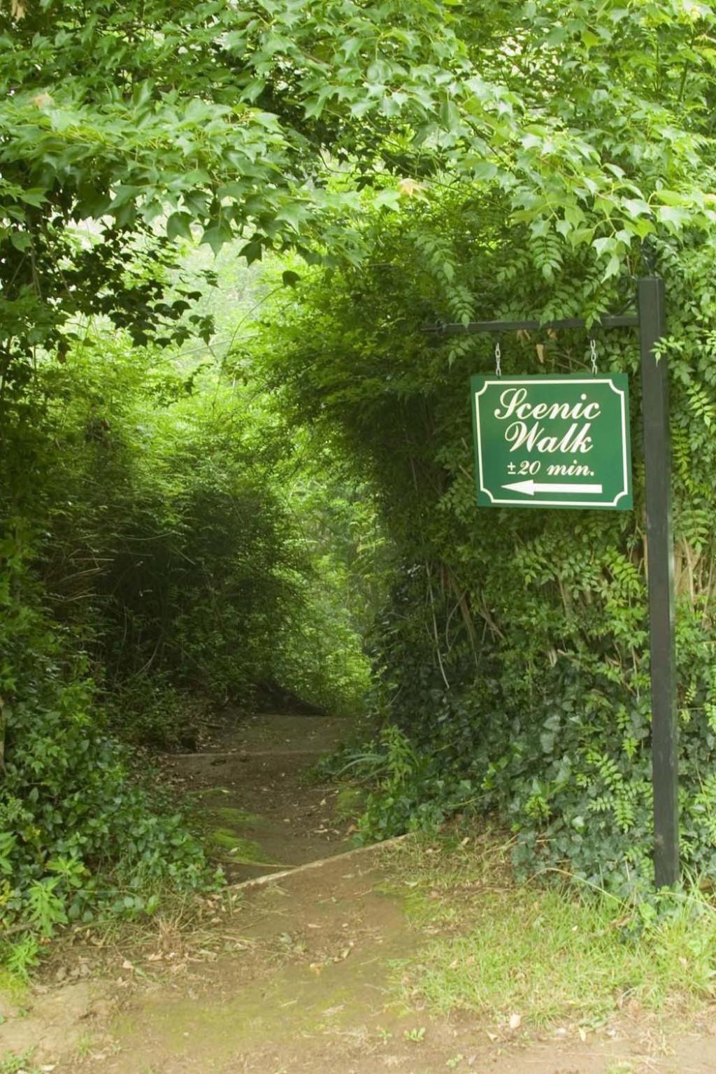 Hogsback Arminel Hotel Ngoại thất bức ảnh