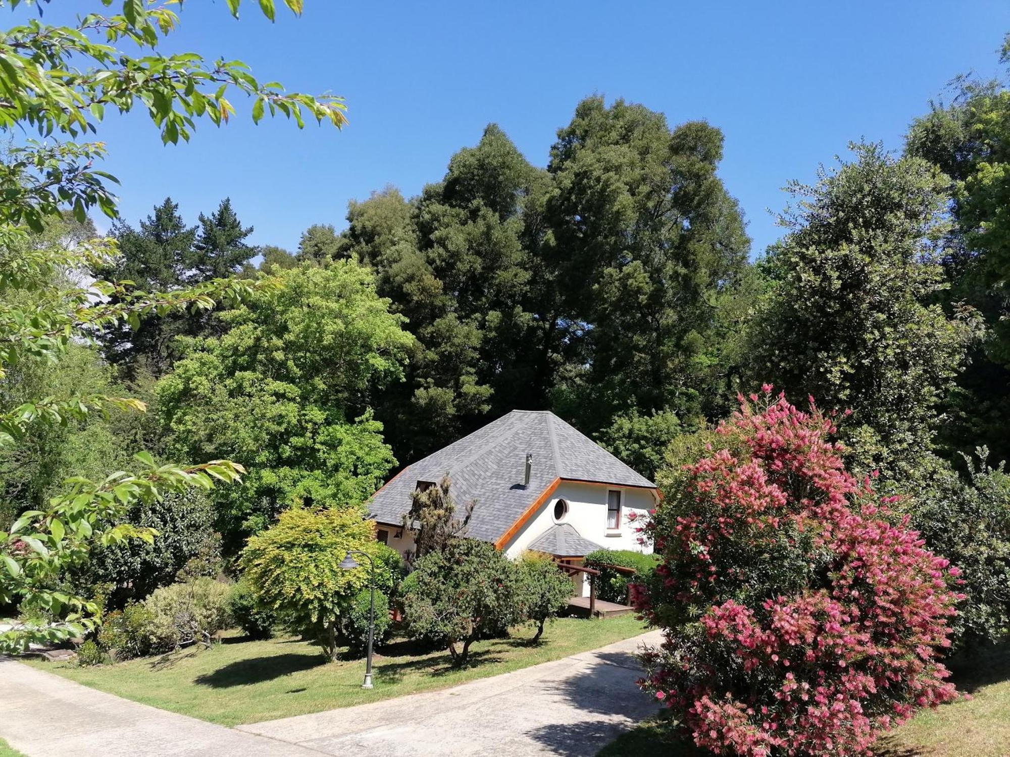 Hogsback Arminel Hotel Ngoại thất bức ảnh