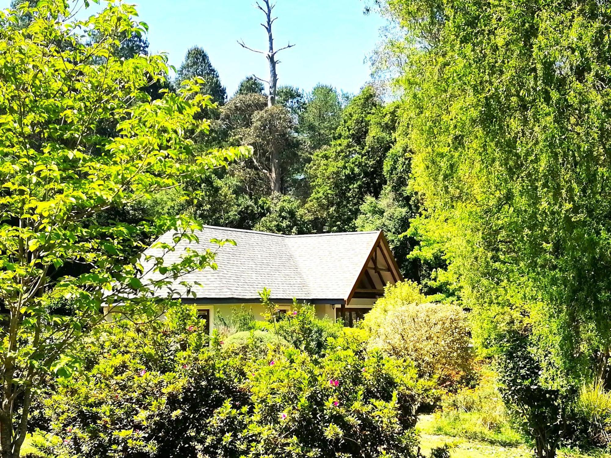 Hogsback Arminel Hotel Ngoại thất bức ảnh
