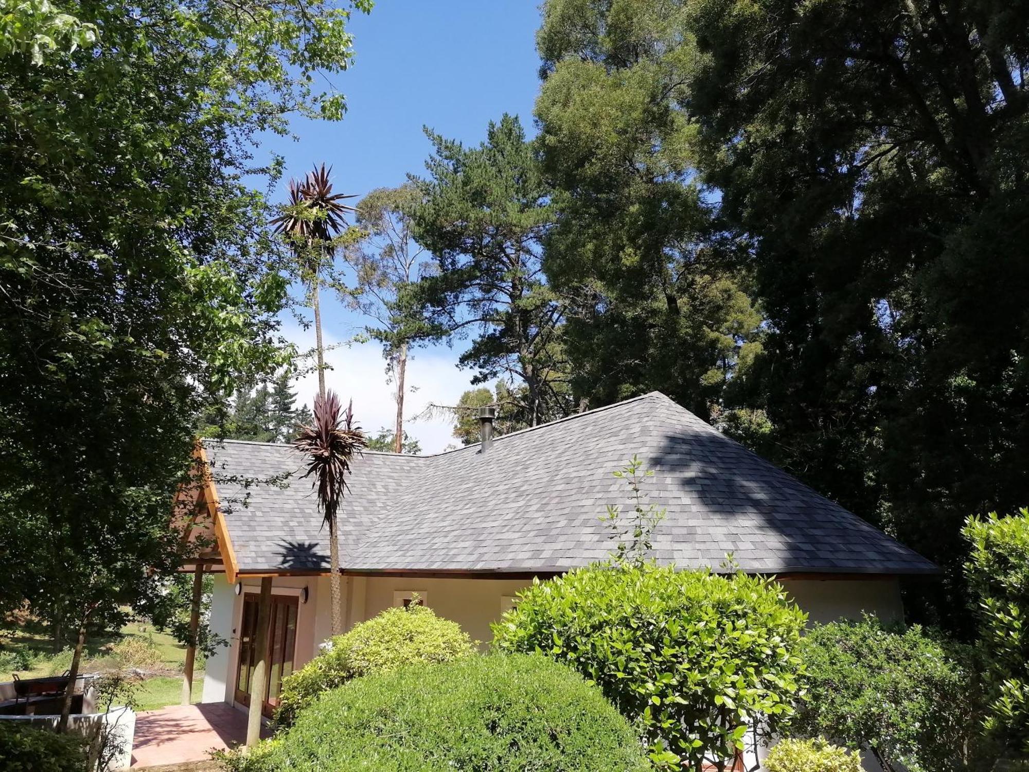 Hogsback Arminel Hotel Ngoại thất bức ảnh