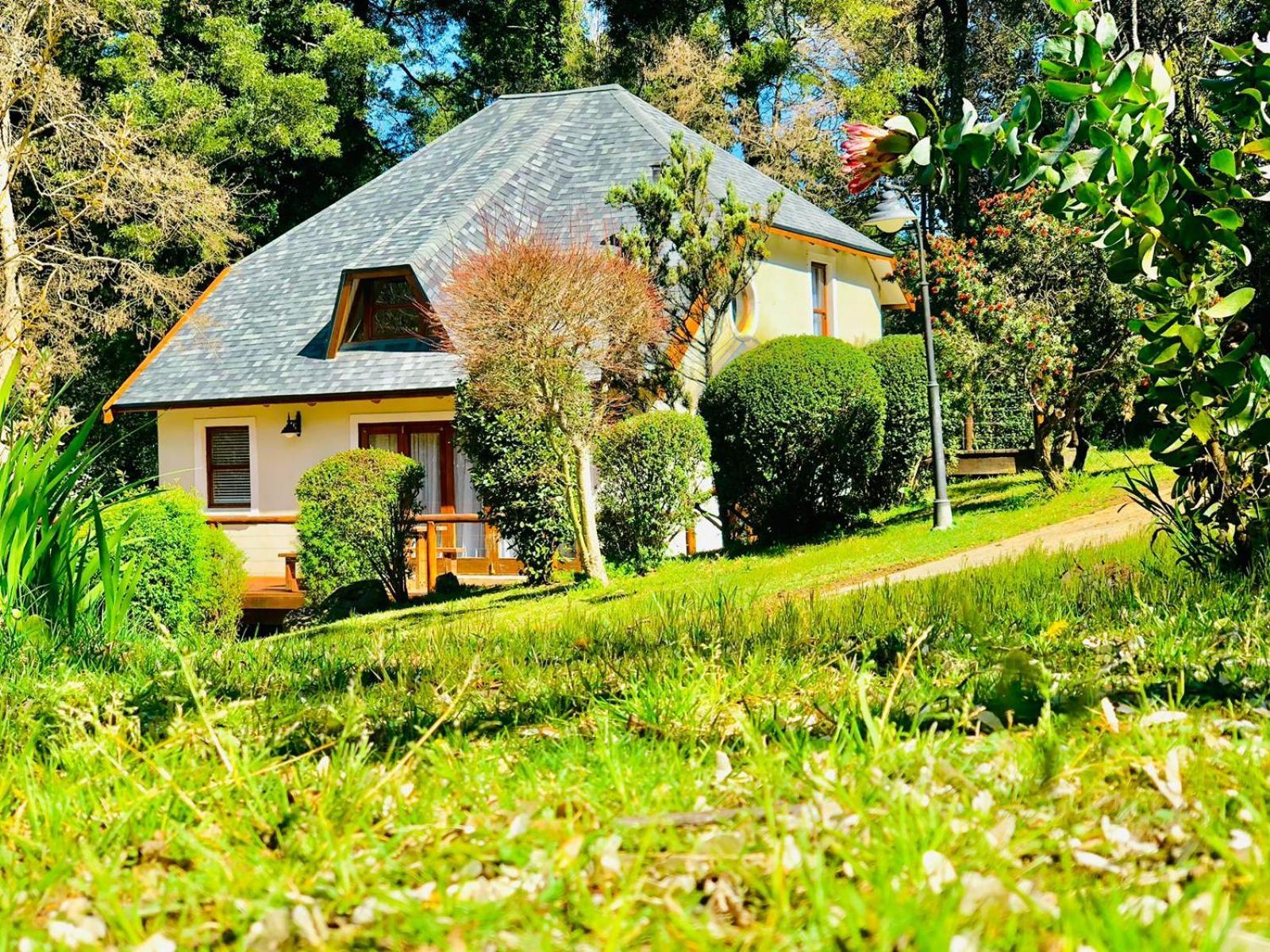 Hogsback Arminel Hotel Ngoại thất bức ảnh